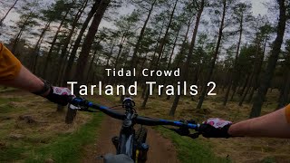 Tidal Crowd, Tarland Trails 2