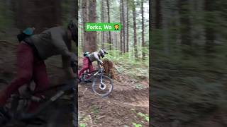 Windfall Trail turns #mtb