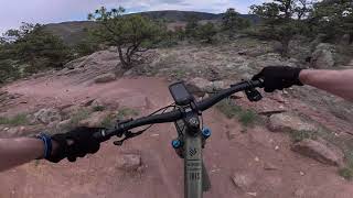 Lower Bitterbrush - Highlights