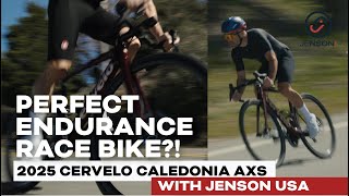A Bike for Big Stupid Rides! 2025 Cervelo...