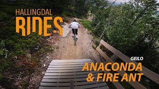 Trail preview - Anaconda & Fire Ant,...