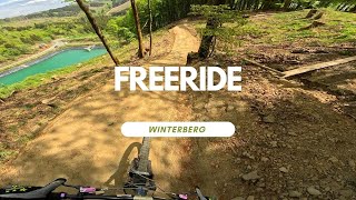 Freeride Line 2025 Bikepark Winterberg Full...