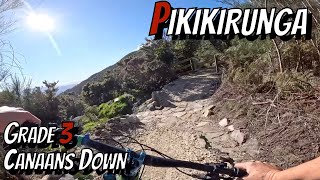 Newest downhill on Takaka Hill - Pikikirunga Trail