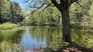 New England Trail Hike to Mt. Lincoln |...