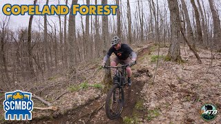 Copeland Forest Second Trail of 25