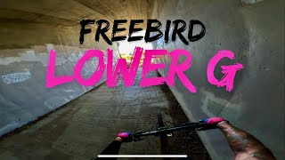|EP 8| FREEBIRD | LOWER G