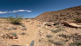 05-17-25 DexTreX Trail Las Vegas Bears Best