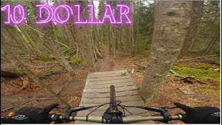 10 DOLLAR | PIDHERNY REC SITE | INTENSE TAZER...