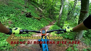 Zuccherodante, Bagno di Romagna (FC) 17-05-2025