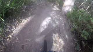 Long Shadows Lower (Update)