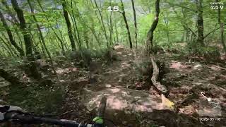 Pettirosso full - Rocca Romana trail 19/05/2025