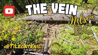 Th Vein - Nelson, BC - MTB Trail Preview