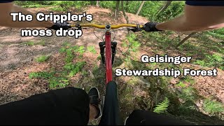 Hidden Drop on The Crippler at Geisinger...