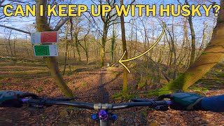 Riding the Only Black MTB Trail in Esneux