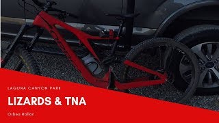 Lizards & TNA - Are these the best trails...