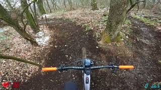 Serbia, Novi-Sad, Trail 'Forest Orlovo', 01/2025