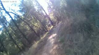 Bottom of Red Carpet (Forrest MTB Park) on E-MTB