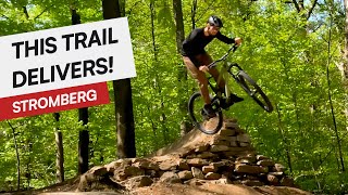 Wildhog | Flowtrail Stromberg  | 2025