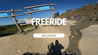Freeride Line Bikepark Willingen Trail Review...