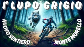 I'LUPO GRIGIO  il nuovo sentiero a Monte...