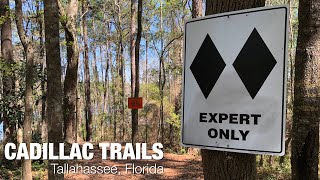 Cadillac Trail, Tallahassee, FL