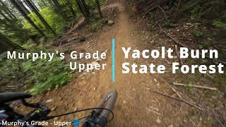 Murphy's Grade - Upper - Yocalt Burn State Forest