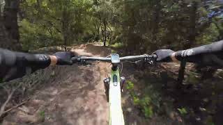 Mateu Jumping