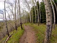Mountain Biking Bragg Creek, Alberta, South...