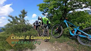 Crinali di Gamogna, Marradi (FI) 24-05-2025