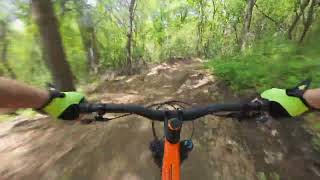 Willow River - Timberdoodle
