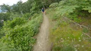 DH Hertzienne, Frange Verte, Grenoble, France