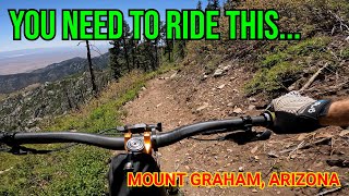 Mount Graham Shuttle Trail | Arcadia Trail |...