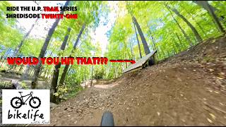 New Skills and Downhill Area on the Marquette...