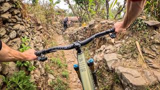 BLASTING through backyards on my favorite ride...