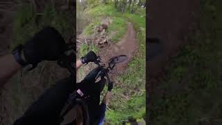Kincaid single track #lee's train #alaska #ebike