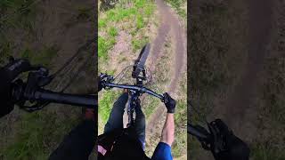 Single track mountain bike #alaska #ebike