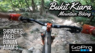 Trail Fairies Fixed Angel Trail! Smooth Exit...