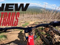 BLACK MOUNTAIN MTB TRAILS - BRAND NEW TRAILS!