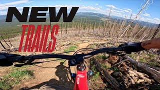 BLACK MOUNTAIN MTB TRAILS - BRAND NEW TRAILS!