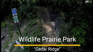 Wildlife Prairie Park MTB - 'Cedar Ridge'...