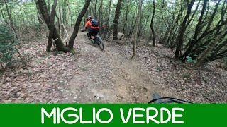 MTB Monte Morello 03.05.2025 sentiero MIGLIO VERDE