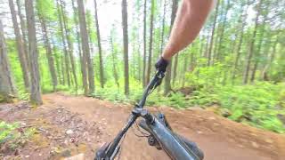 Riding Upper Maple Syrup / Phloem To Flat Tire
