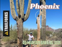 Sentier magnifique sous la chaleur de Phoenix !!