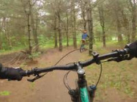 Velo de montagne à La forêt de l'Abbaye - La...
