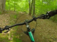 Vélo de montagne à La forêt de l'Abbaye -...