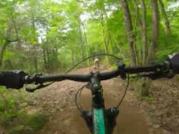 Velo de montagne à La forêt de l'Abbaye -...