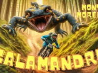 SALAMANDRA trail | Monte Morello (FI) -...