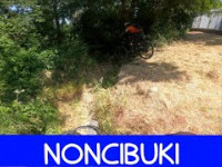 MTB Monte Morello 14.06.2025 sentiero NONCIBUKI