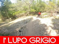 MTB Monte Morello 14.06.2025 sentiero I' LUPO...