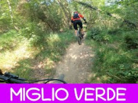 MTB Monte Morello 14.06.2025 sentiero MIGLIO VERDE